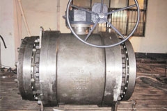 Yiran Factory 6