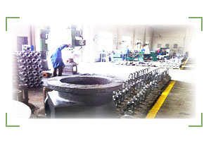 Nanya Valve Plant